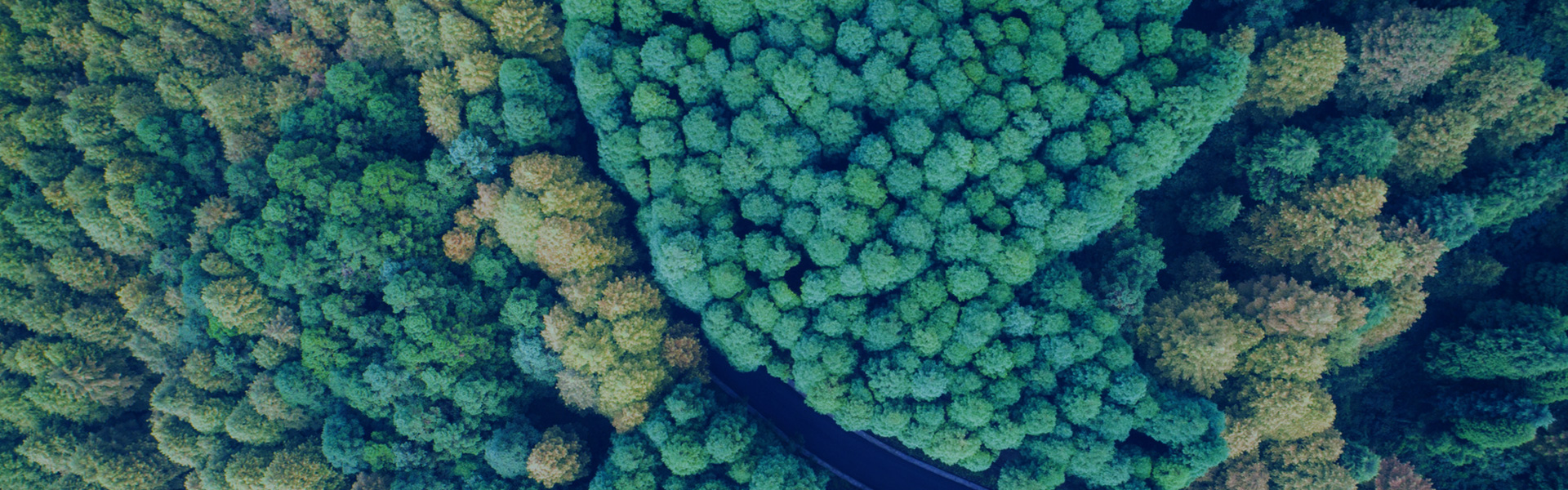 誠(chéng)信為本，不忘初心