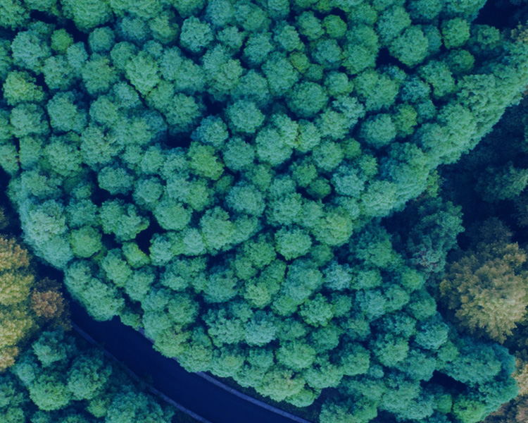 誠(chéng)信為本，不忘初心